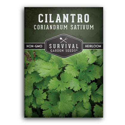SURVIVAL GARDEN SEEDS cilantro seeds pack for reliable harvest.