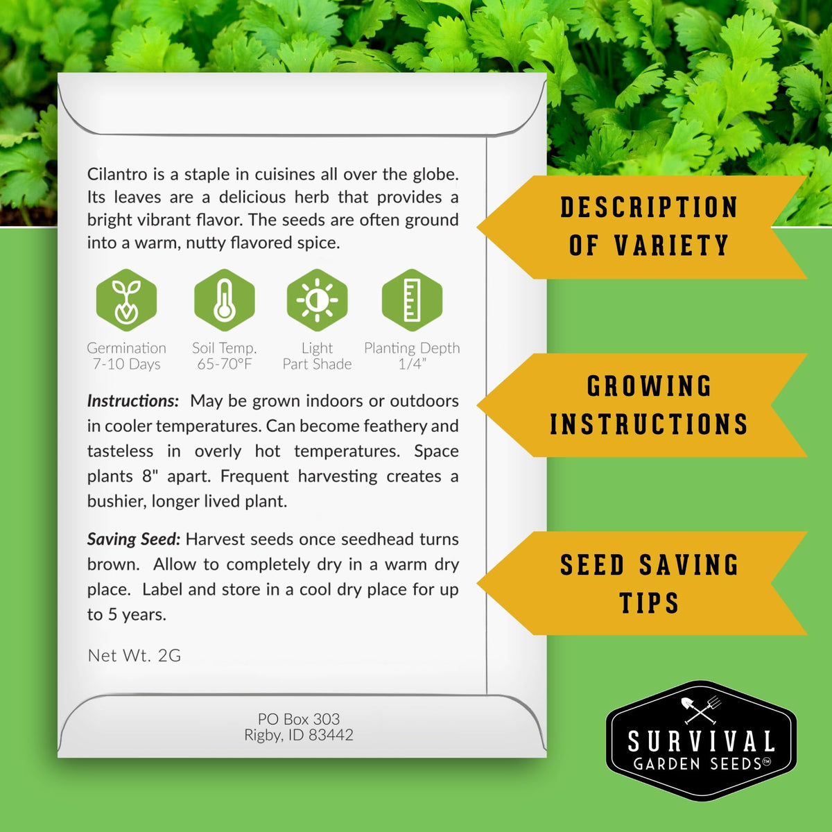 Cilantro grows quickly in pots with SURVIVAL GARDEN SEEDS.