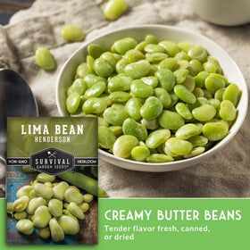 SURVIVAL GARDEN SEEDS Classroom project beans for life-cycle lessons.