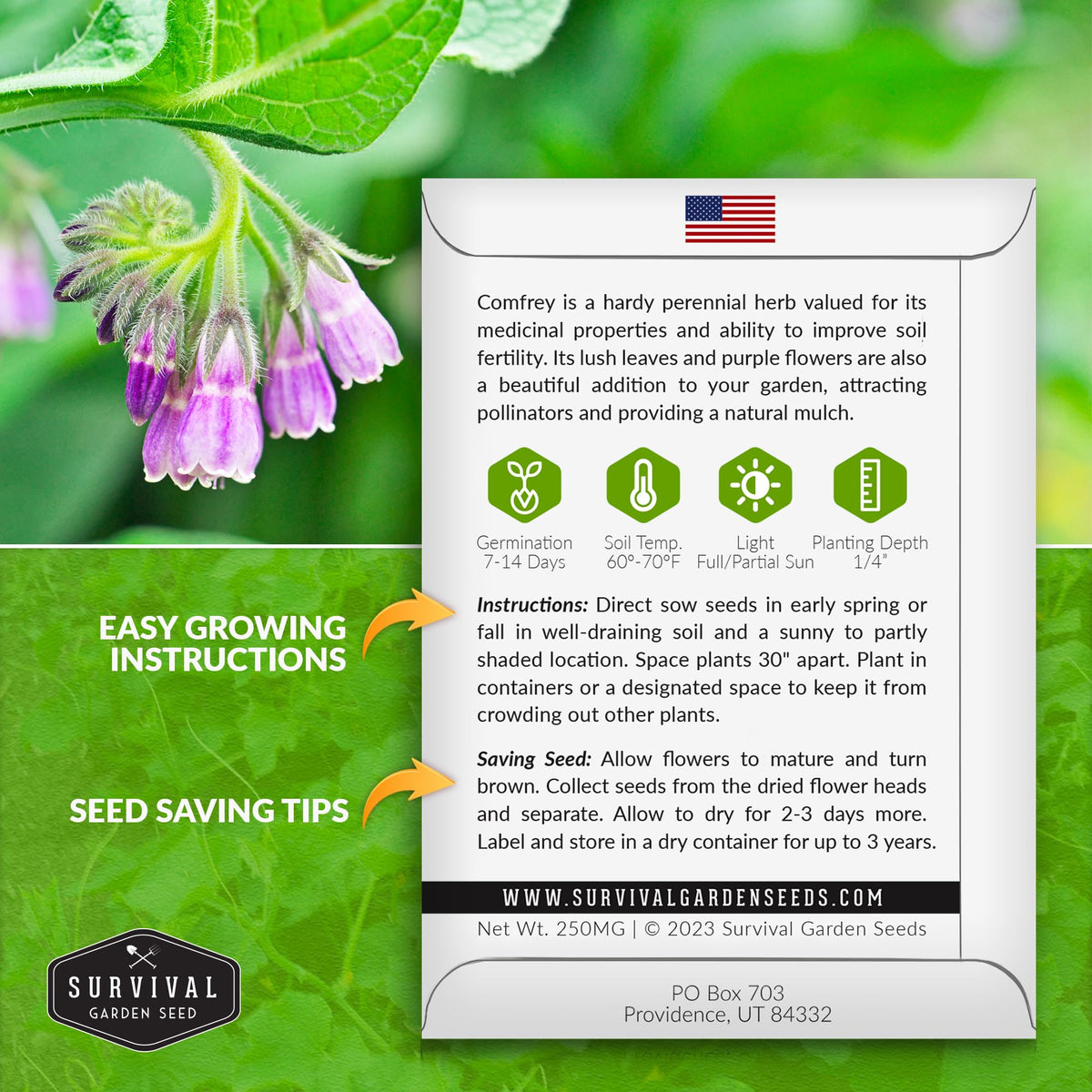 SURVIVAL GARDEN SEEDS comfrey leaves closeup showing lush foliage for soil health prep