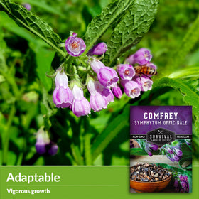 SURVIVAL GARDEN SEEDS comfrey slippery root closeup highlighting traditional skincare use