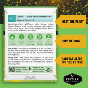 Survival Garden Seeds common sunflower bloom detail with yellow petals