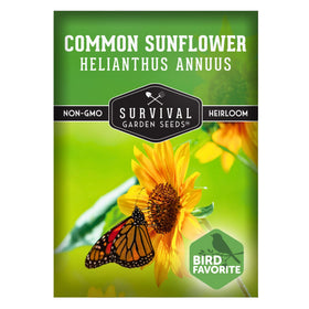Survival Garden Seeds common sunflower giant head blooms attract pollinators