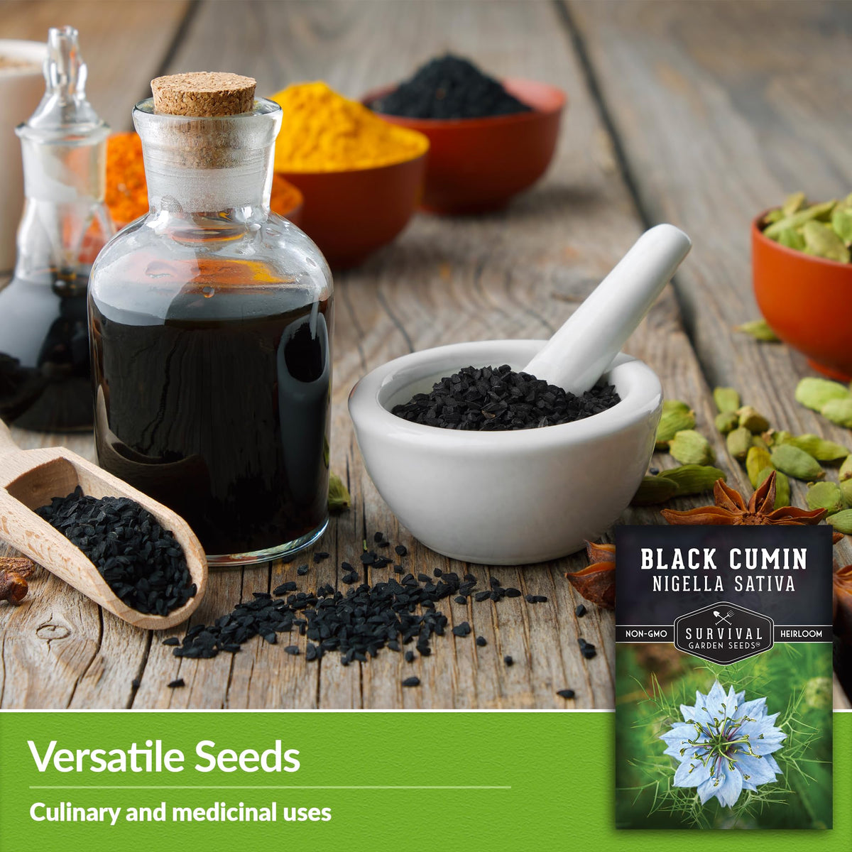 SURVIVAL GARDEN SEEDS compact herb in a sunny container ready to grow.