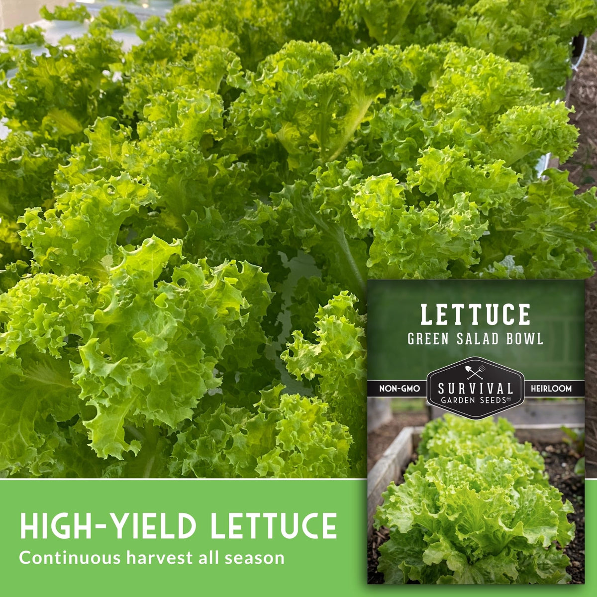 SURVIVAL GARDEN SEEDS adapts to containers, ideal for balcony or small-space gardens