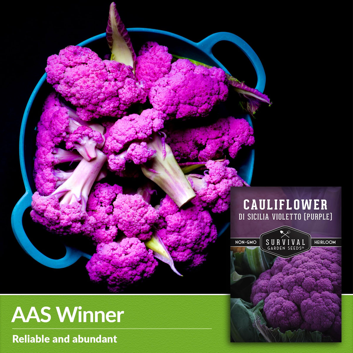 SURVIVAL GARDEN SEEDS Purple cauliflower thriving in containers, offering space-saving garden options.