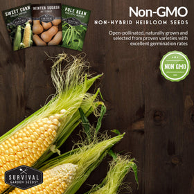 Survival Garden Seeds corn beans squash combo on trellis for companions.