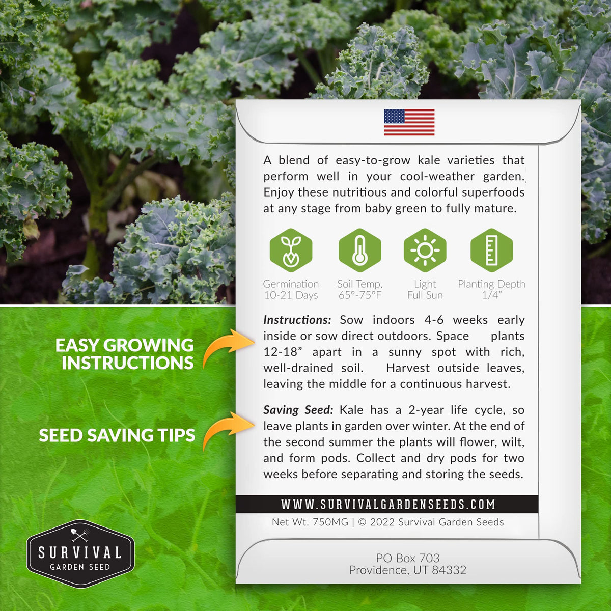 SURVIVAL GARDEN SEEDS curly kale leaves ideal for tender baby greens and salads