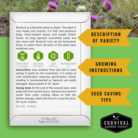 SURVIVAL GARDEN SEEDS direct sow burdock in soil for a hardy root harvest.