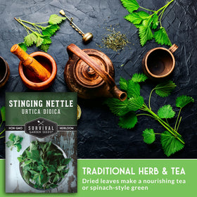SURVIVAL GARDEN SEEDS dried nettle leaves for tea and culinary use