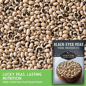 Survival Garden Seeds drought-tolerant peas thrive in dry seasons with steady yields.