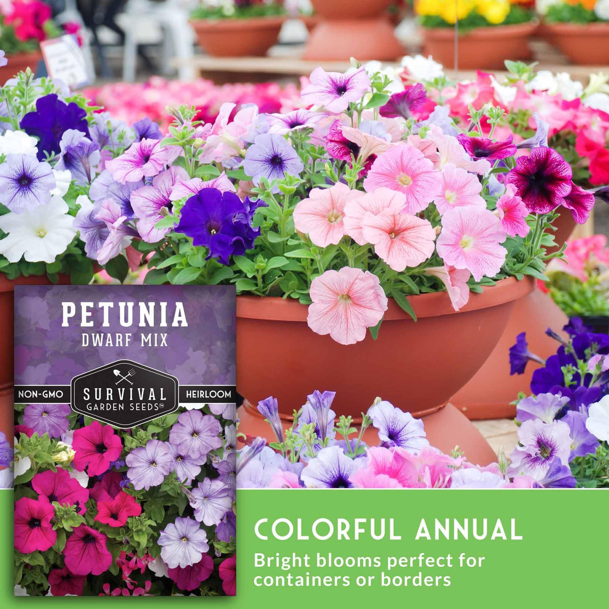 Sowing instructions for Survival Garden Seeds Dwarf Petunia Seed Mix.