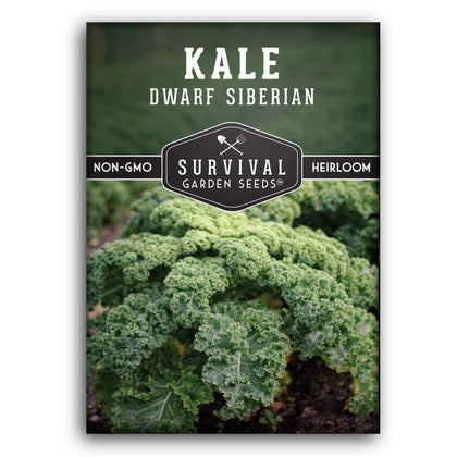 SURVIVAL GARDEN SEEDS Dwarf Siberian Kale compact rosette for tender baby greens.