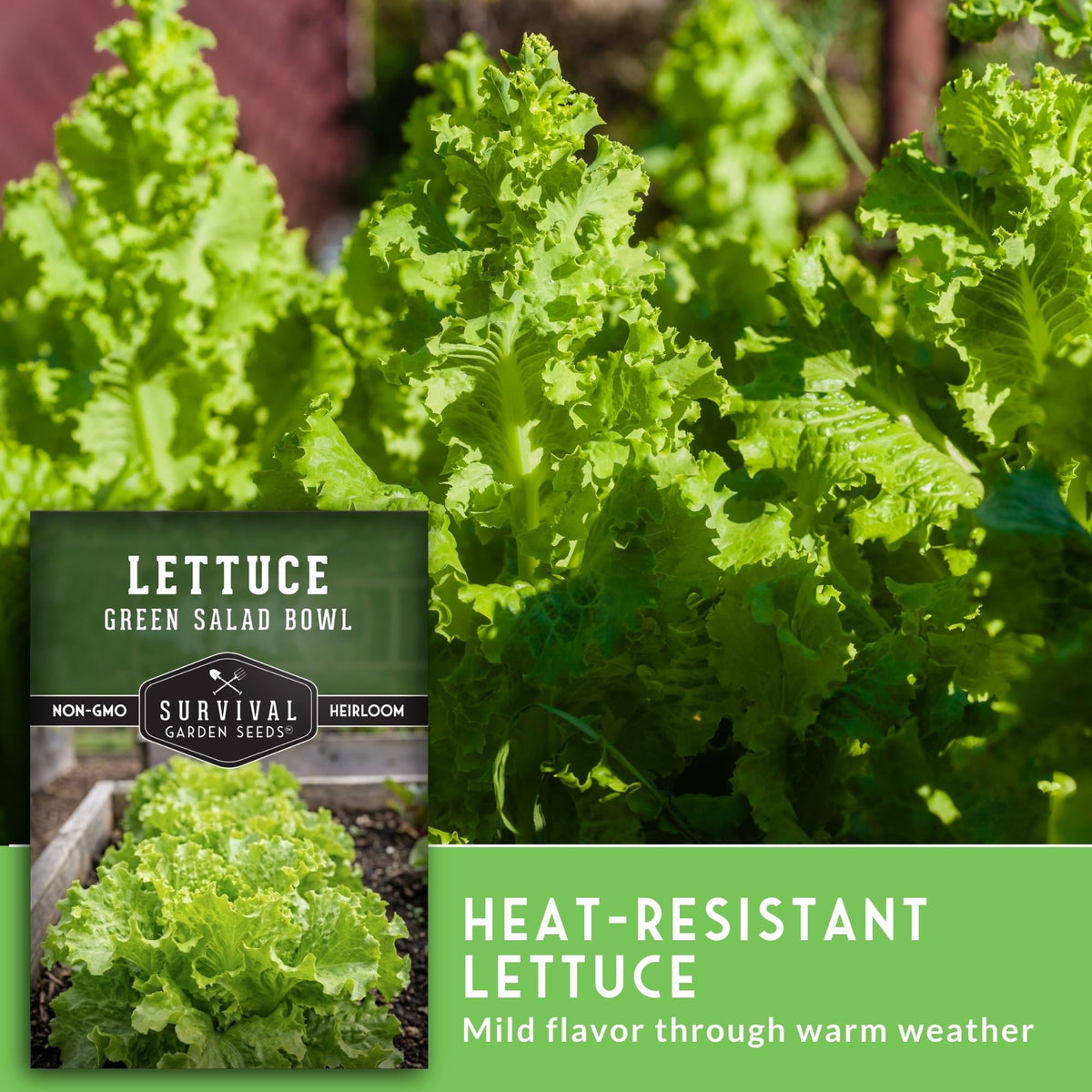 SURVIVAL GARDEN SEEDS easy sprouting in soil for quick home salads