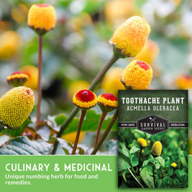SURVIVAL GARDEN SEEDS Edible-flowers-seeds offer a playful tasting and colorful garnish options.