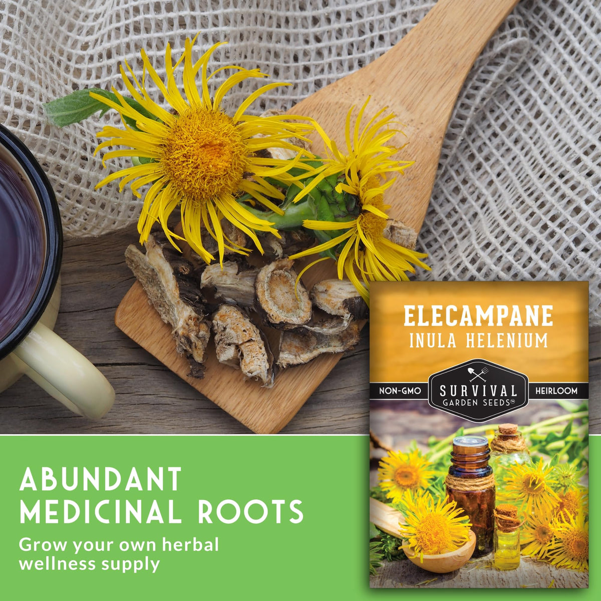 Survival Garden Seeds elecampane roots for soft blue dye options