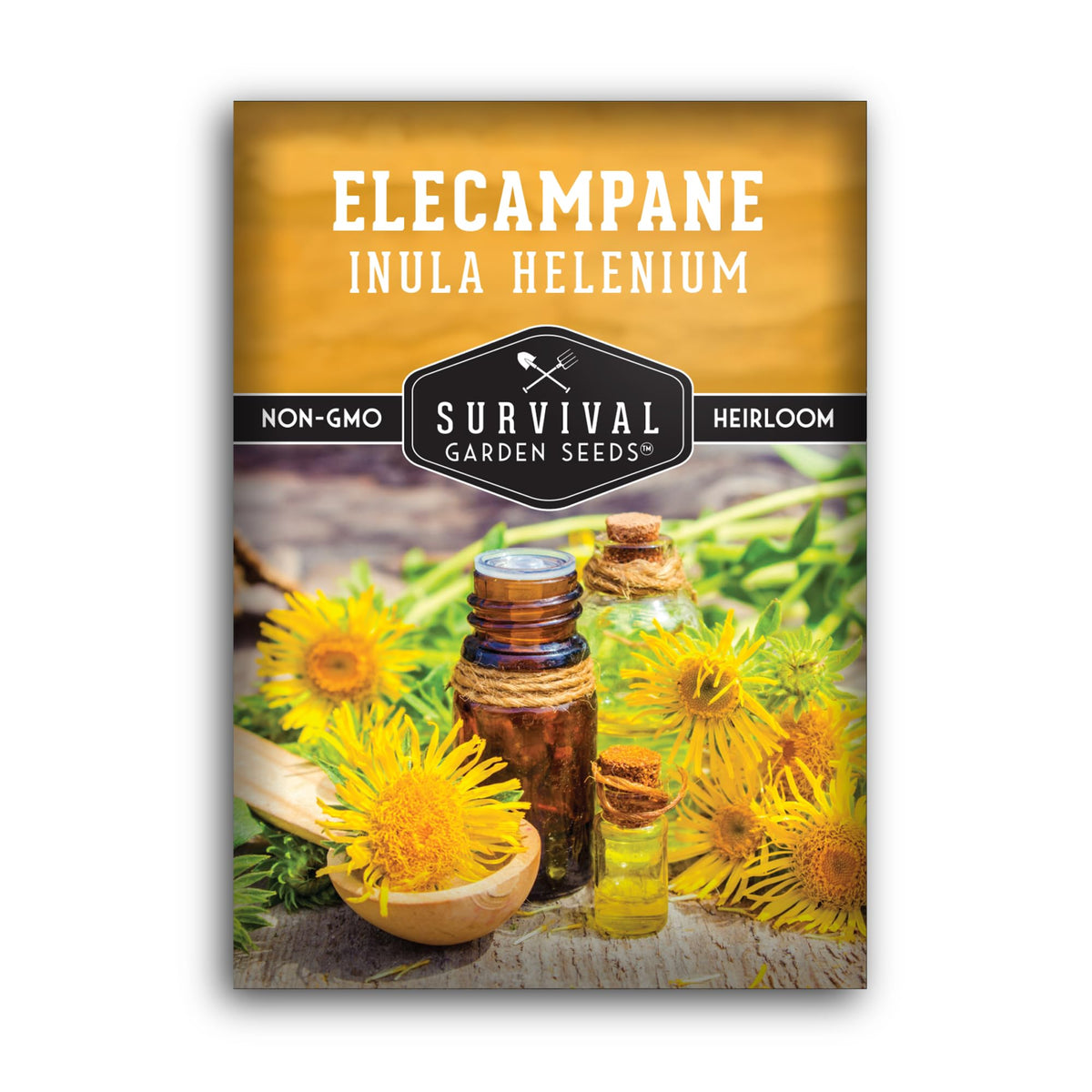 Survival Garden Seeds elecampane seed close-up for planting and germination prospects