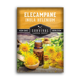 Survival Garden Seeds elecampane seed close-up for planting and germination prospects