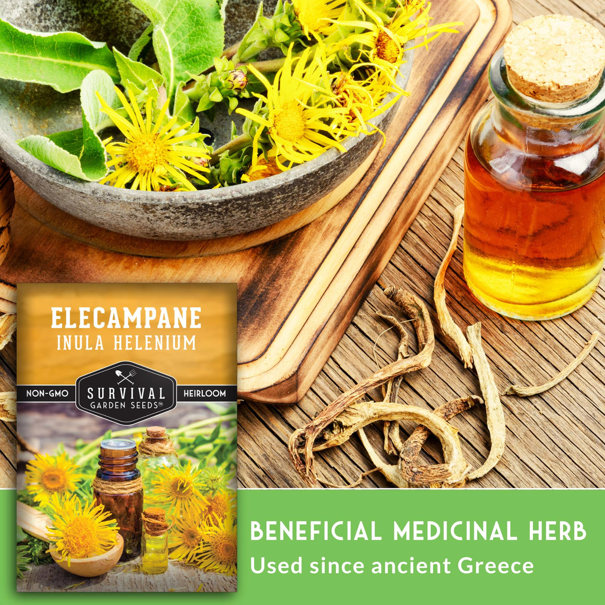 Survival Garden Seeds elecampane yellow blooms in year two add color
