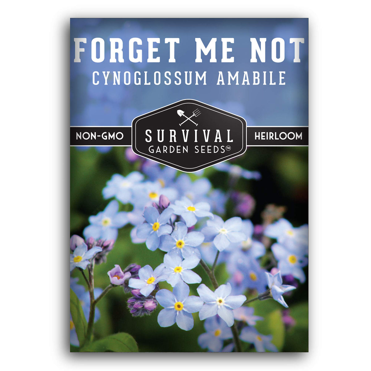 SURVIVAL GARDEN SEEDS Forget Me Not seed close-up reveals vibrant blue blooms for pollinators.