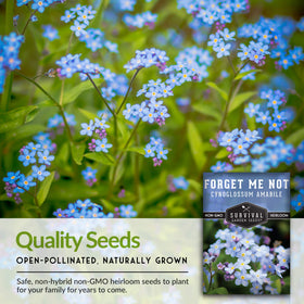 SURVIVAL GARDEN SEEDS Forget Me Not seeds stored cool and dry maintain viability.