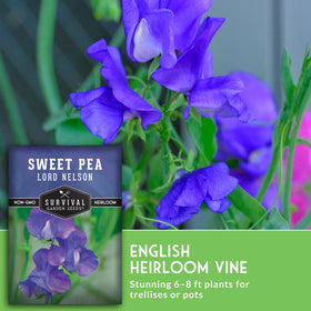 Survival Garden Seeds Lord Nelson fragrant blooms ideal for bouquets