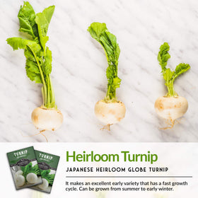 Survival Garden Seeds garden-bed planting Snowball turnips for cool-season crops.