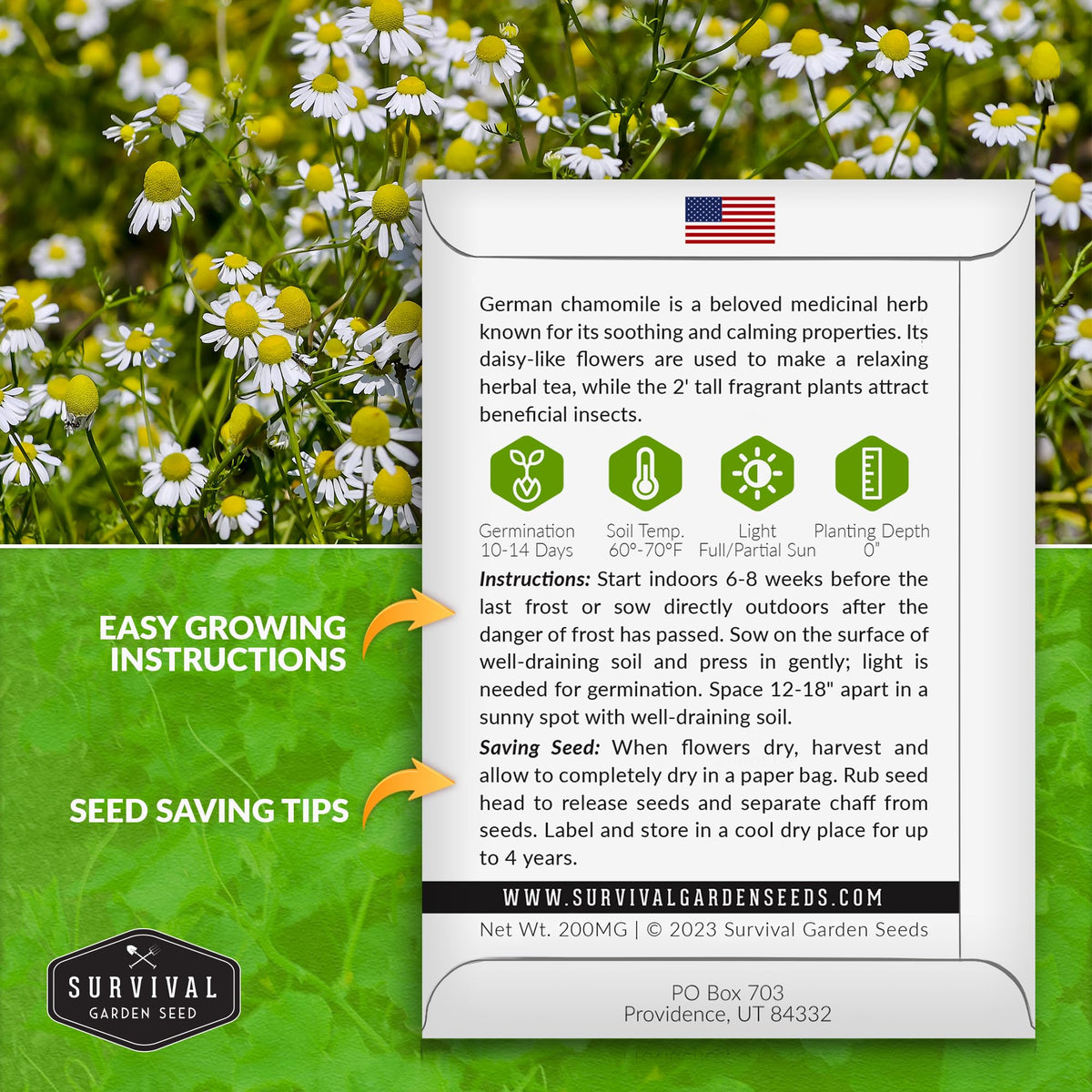 Survival Garden Seeds German chamomile flowers in garden offer fragrant blooms for tea blends.