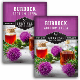 SURVIVAL GARDEN SEEDS burdock seed pack for GOBO, ready to plant in home gardens.