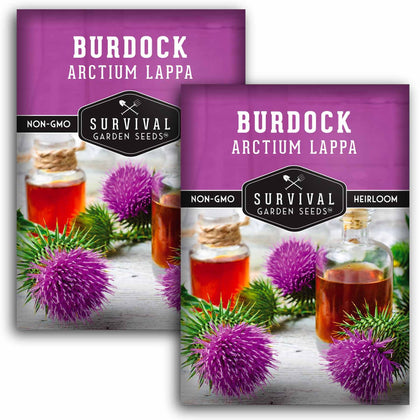 SURVIVAL GARDEN SEEDS burdock seed pack for GOBO, ready to plant in home gardens.