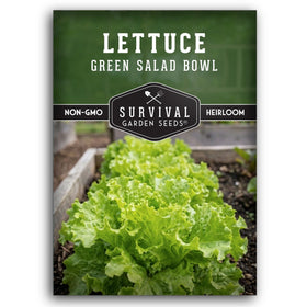 SURVIVAL GARDEN SEEDS green salad bowl lettuce seeds pack for home planting