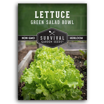 SURVIVAL GARDEN SEEDS green salad bowl lettuce seeds pack for home planting