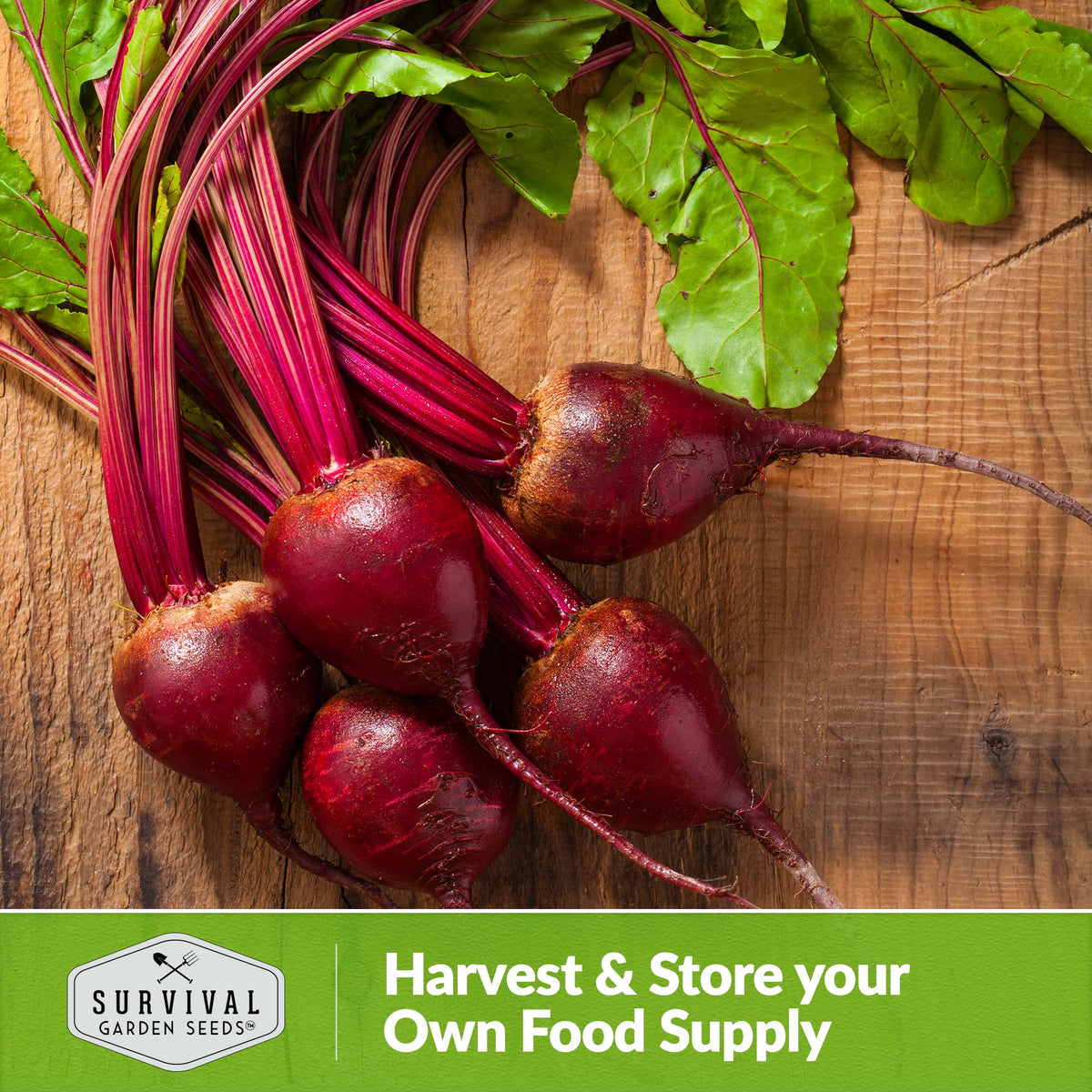 Lush green tops provide fresh greens with harvest options.