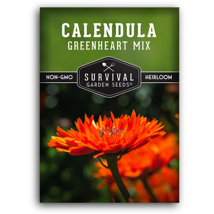 Survival Garden Seeds Greenheart Mix bloom close-up with lime green centers for vibrant garden color.