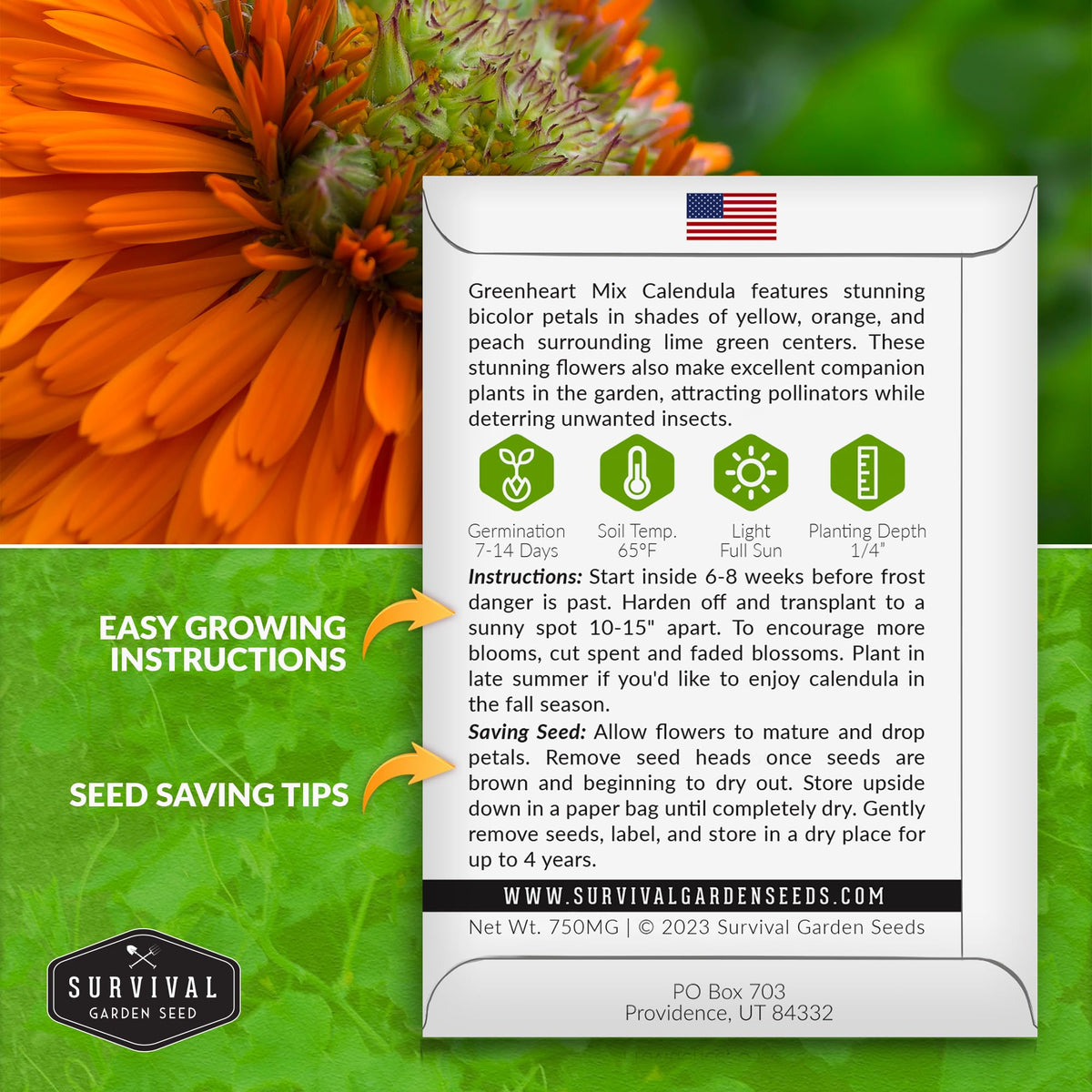 Survival Garden Seeds Greenheart Mix lime-centered bloom close-up, a striking edible flower feature.