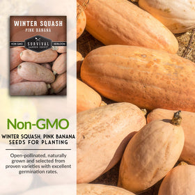 SURVIVAL GARDEN SEEDS harvest pink banana squash signaling autumn-ready harvest.