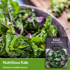 SURVIVAL GARDEN SEEDS harvest-ready kale in a baby greens stage for quick meals