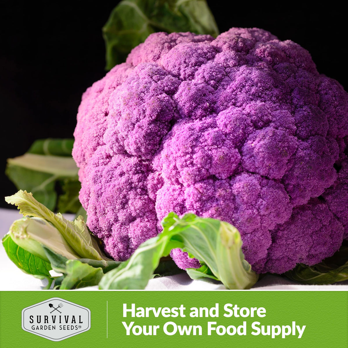 SURVIVAL GARDEN SEEDS Harvested Violetto di Sicilia heads ready for roasting or stir-fry.