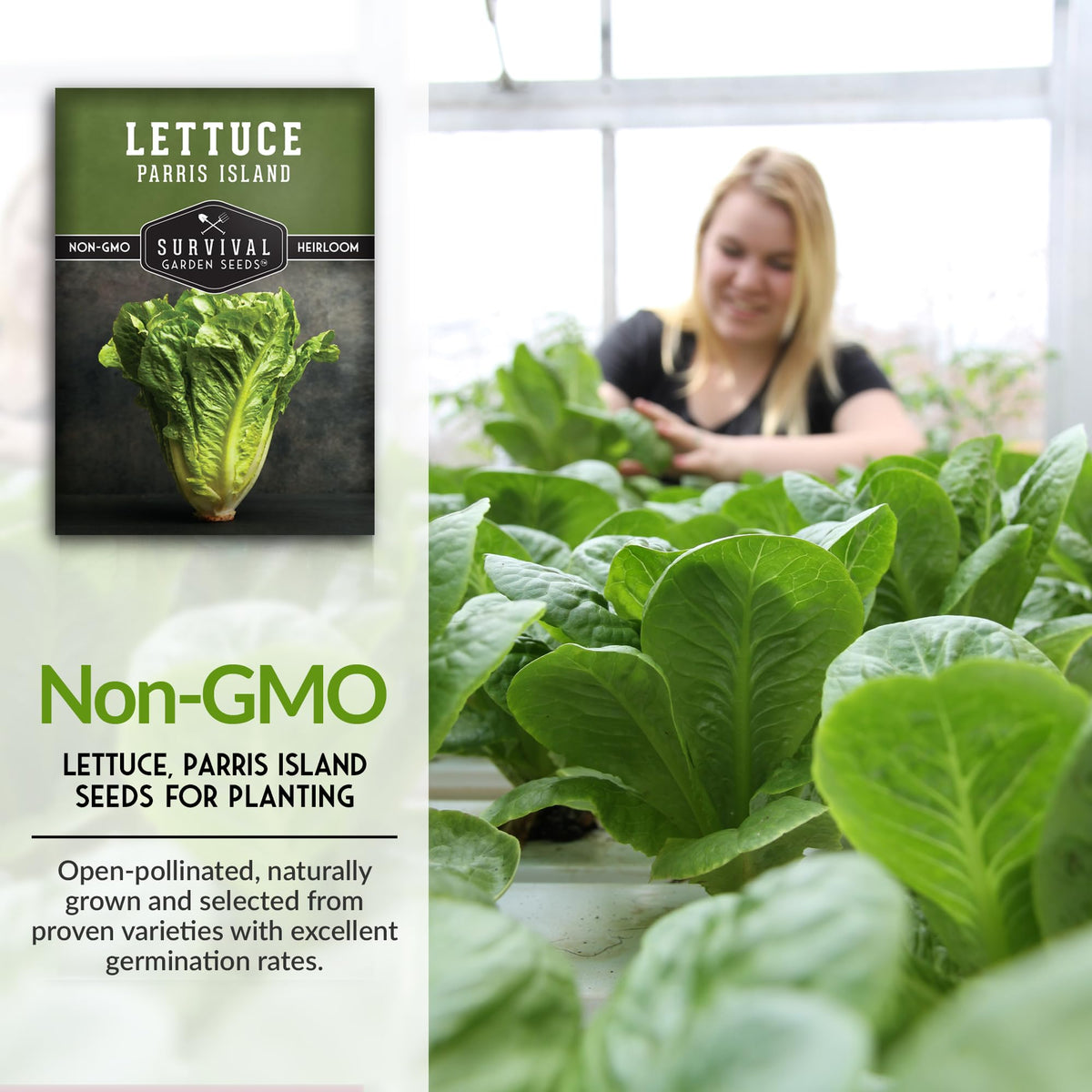 Survival Garden Seeds heat-tolerant romaine supports steady harvests in warm climates.