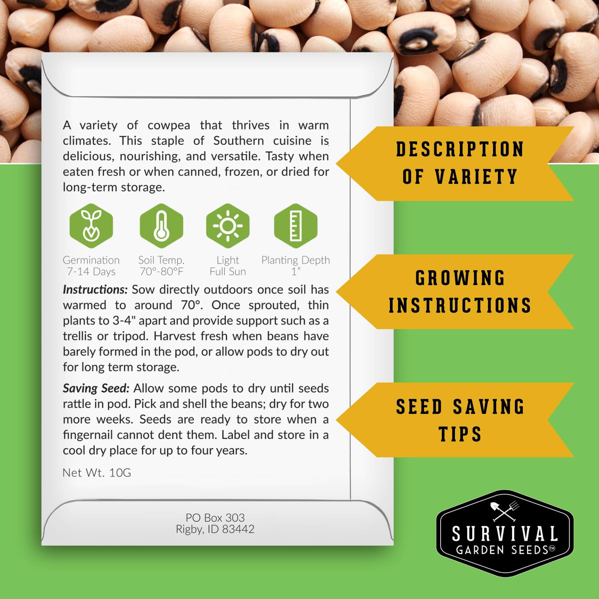 Survival Garden Seeds heirloom cowpea plants show resilience in warm, poor soils, great for resilient home gardens.