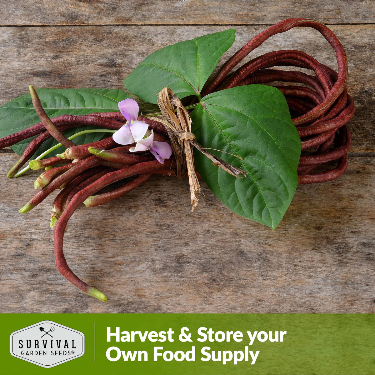 SURVIVAL GARDEN SEEDS heirloom non-GMO seeds pack shown for home gardening.
