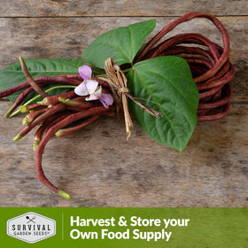 SURVIVAL GARDEN SEEDS heirloom non-GMO seeds pack shown for home gardening.