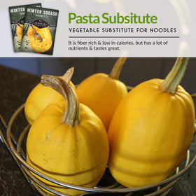 SURVIVAL GARDEN SEEDS heirloom non-GMO seeds packet, trusted for garden success.