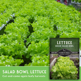 SURVIVAL GARDEN SEEDS high-yield loose leaf seeds deliver generous harvests