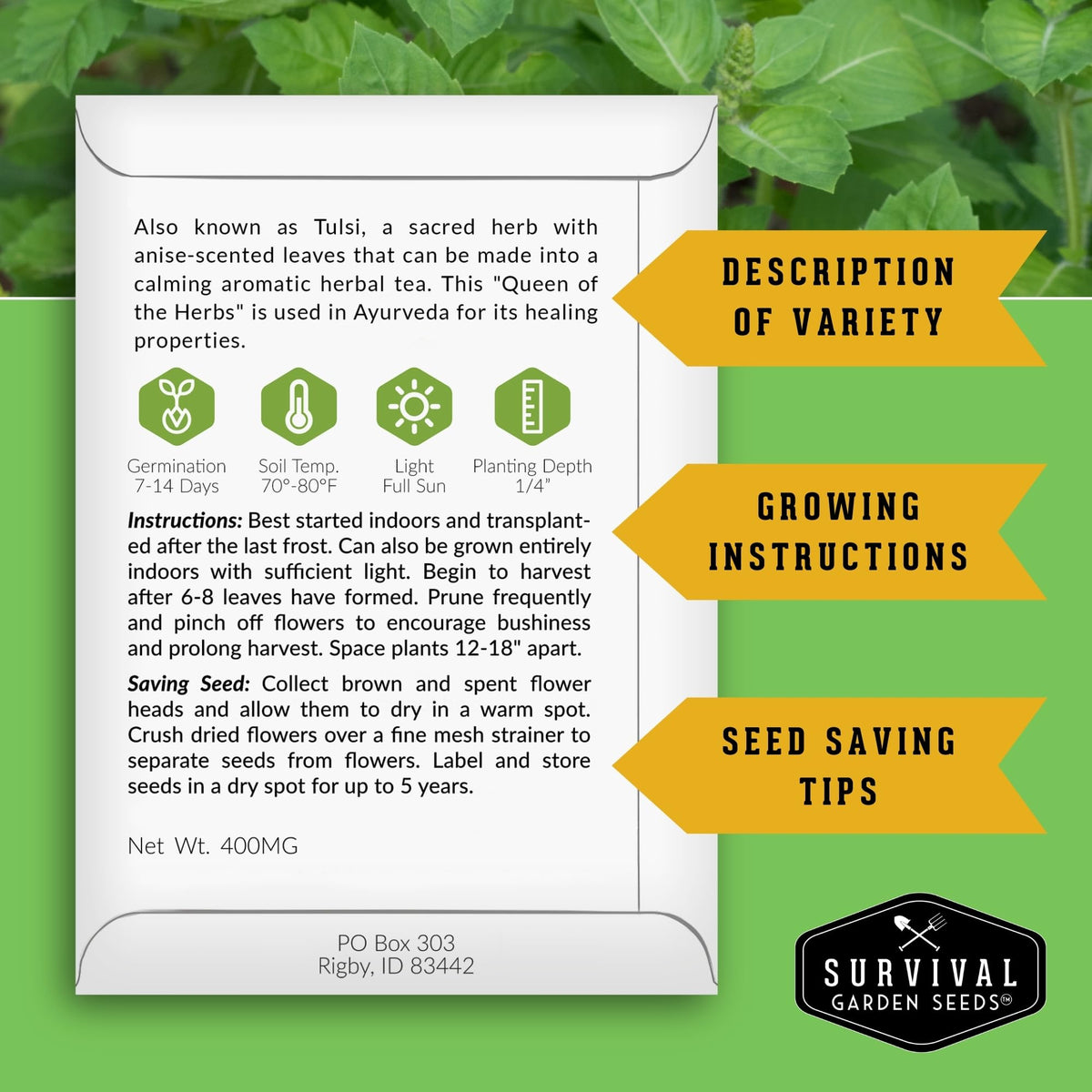 Survival Garden Seeds Holy Basil seed pack back with seed details