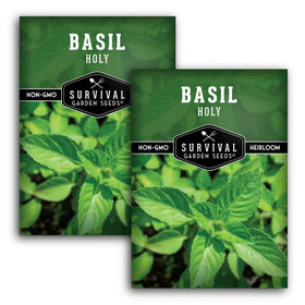 Survival Garden Seeds Holy Basil seed pack front view for easy home gardening