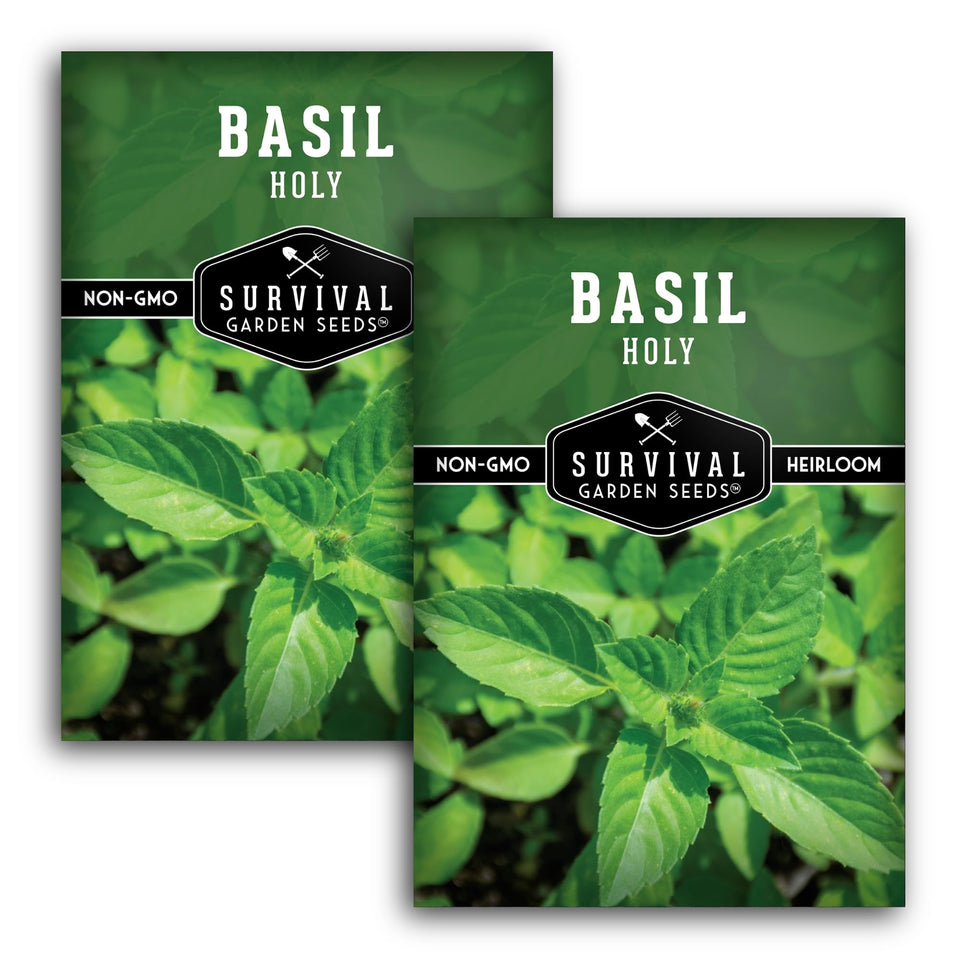 Survival Garden Seeds Holy Basil seed pack front view for easy home gardening