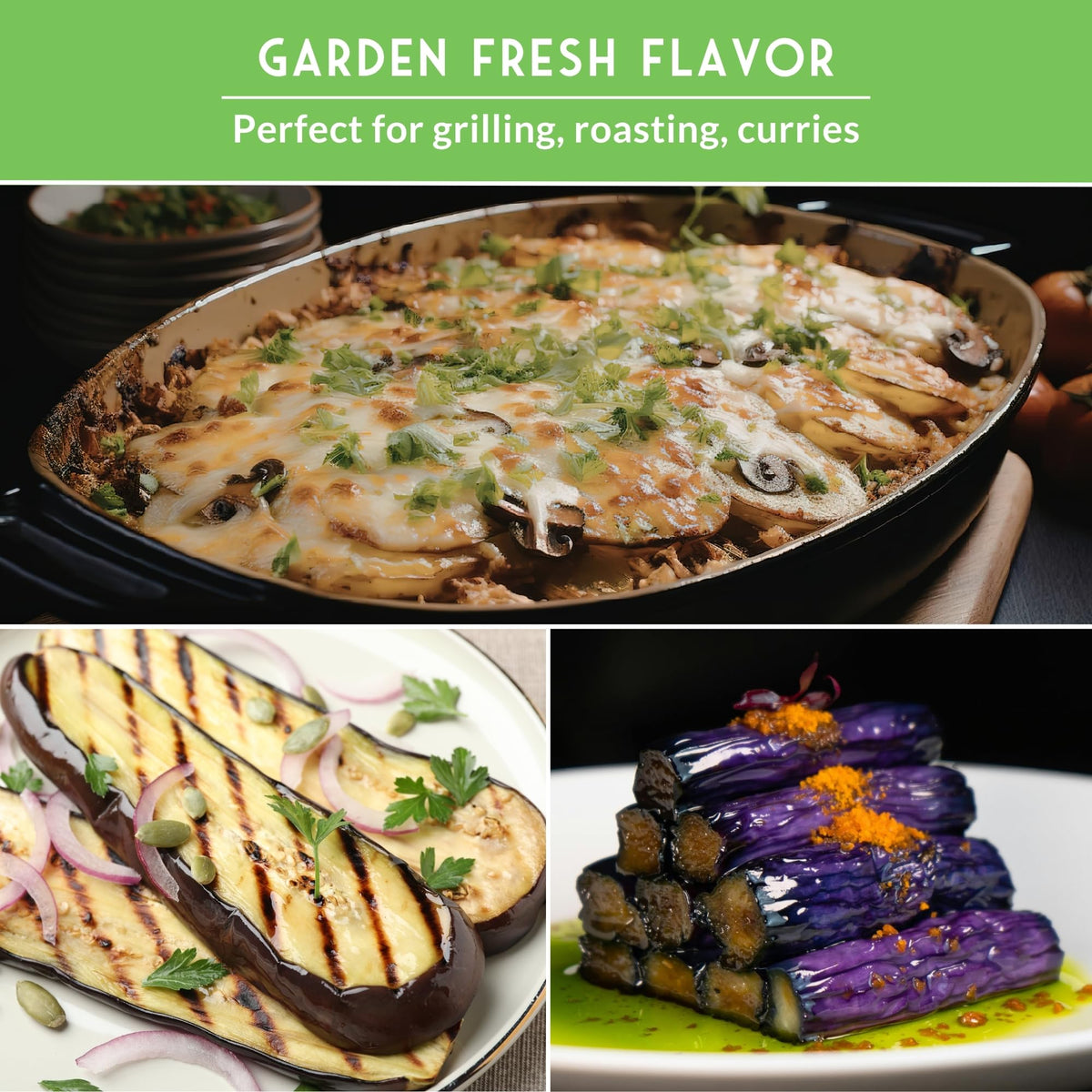 Survival Garden Seeds home garden setup with eggplants growing
