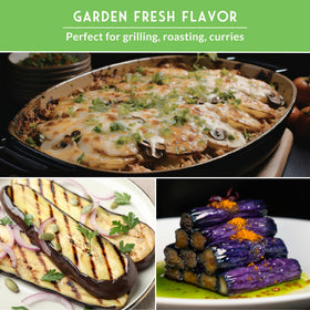 Survival Garden Seeds home garden setup with eggplants growing