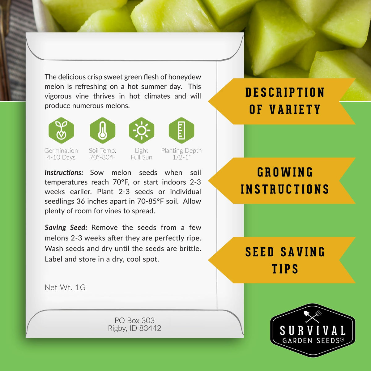Ripe honeydew melons from SURVIVAL GARDEN SEEDS showing sweet aroma